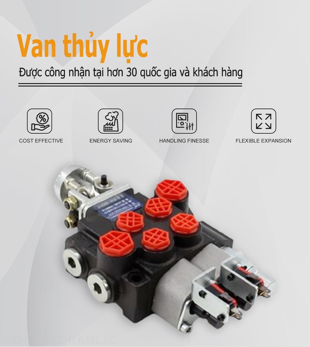 P40 Micro Switch Tay điều khiển Xy lanh 2 Van định hướng khối liền